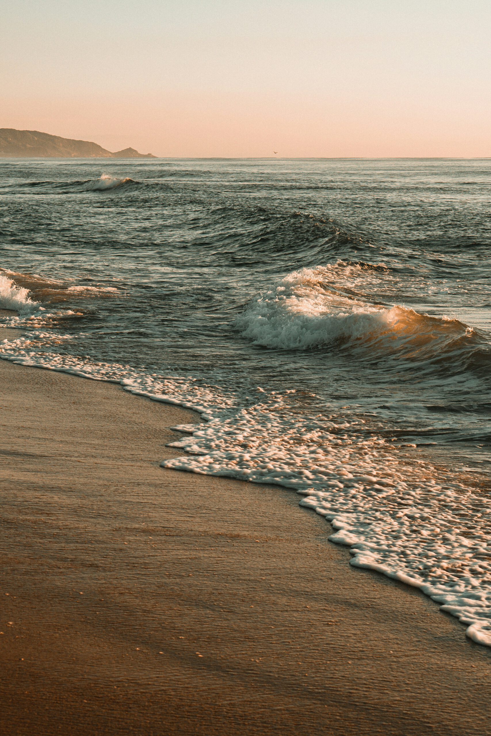 henrique-hanemann-Ha4Mrwo04C8-unsplash henrique-hanemann-Ha4Mrwo04C8-unsplash